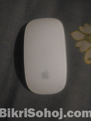 Magic mouse 1